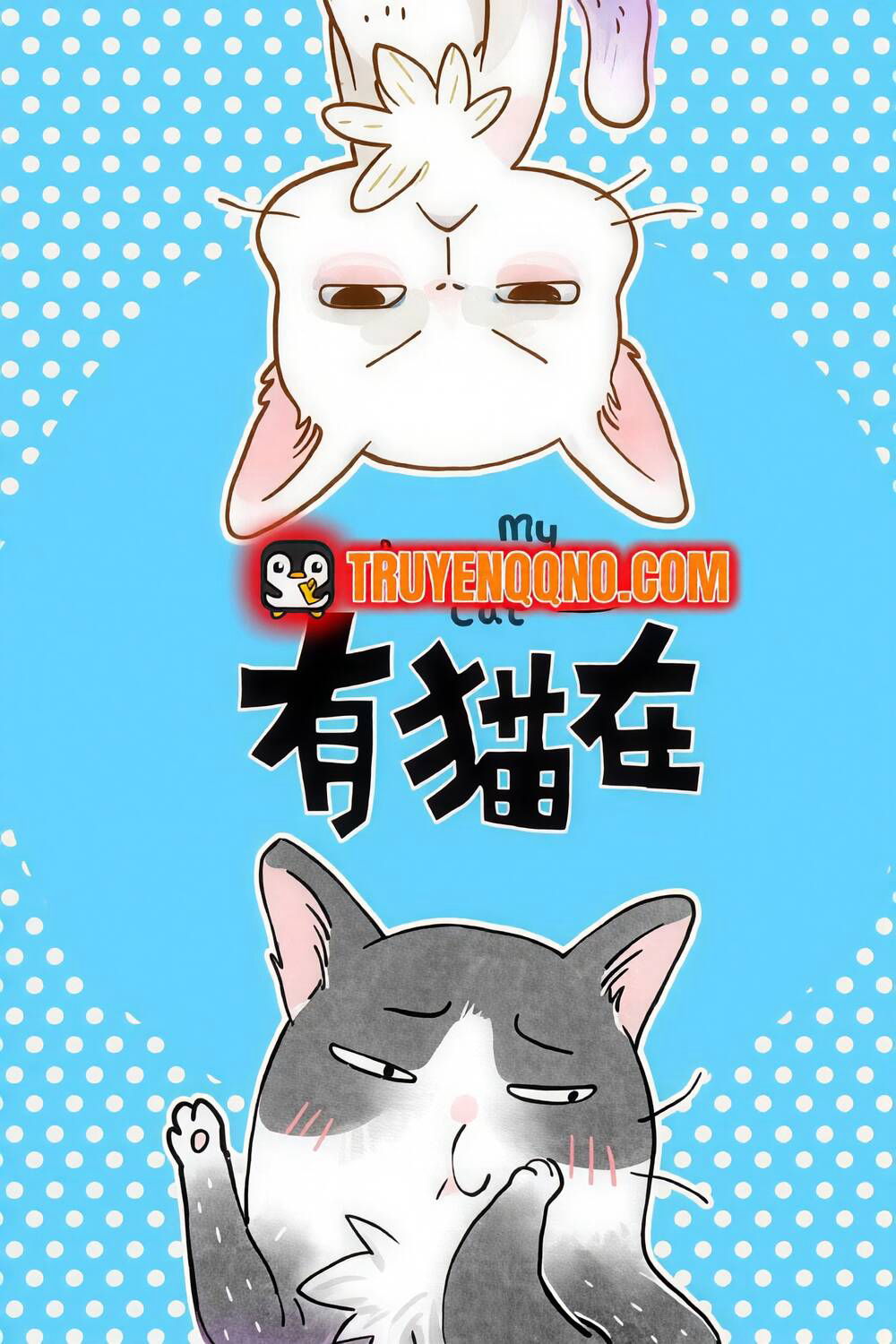 Ở Đây Có Mèo